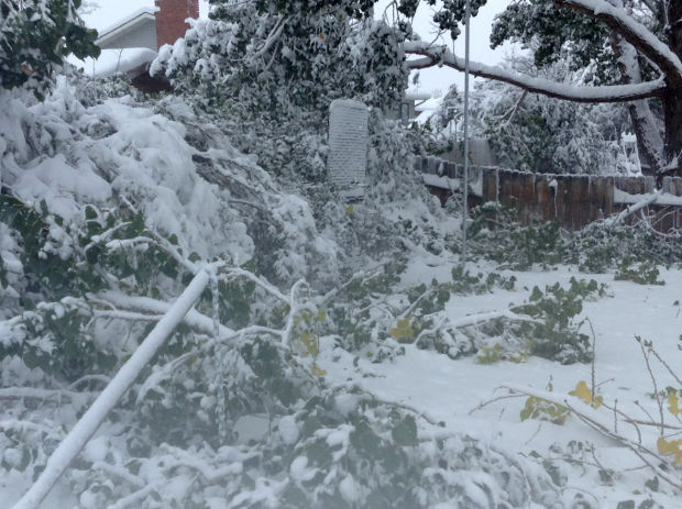 Winter Storm Atlas